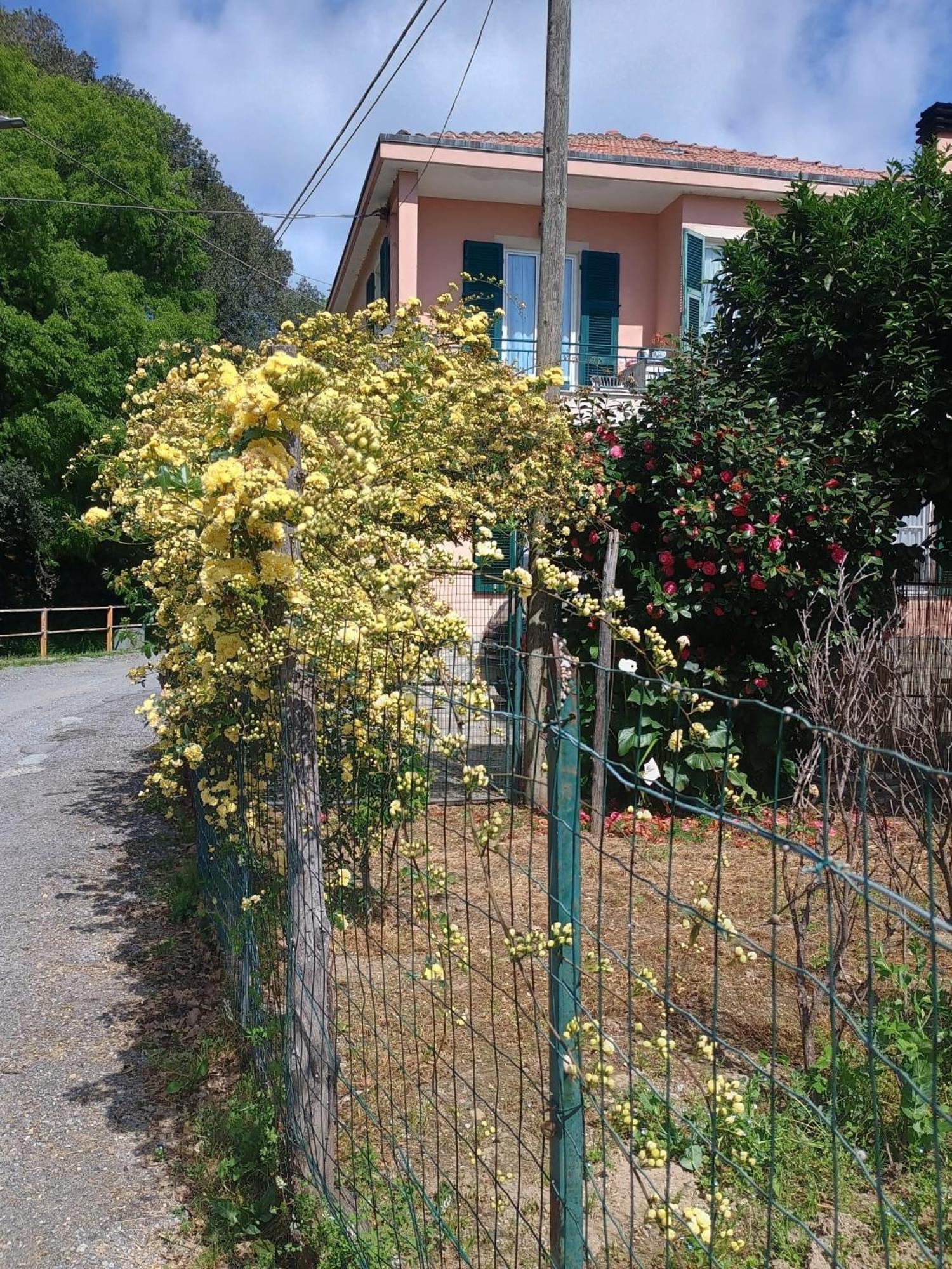 La Casa Dei Due Aranci Villa Albisola Superiore Exterior photo